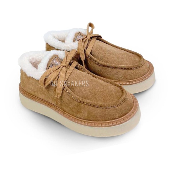 Женские ботинки Prada Chukka Chestnut